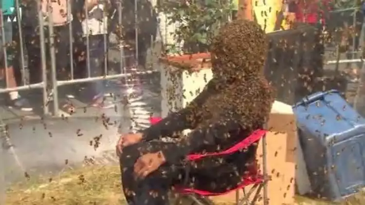 Sejam dikerumuni 100 ribu lebah, pria ini pecahkan rekor baru dunia
