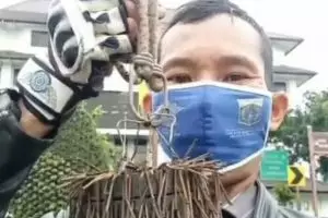 Rohim, penyapu ranjau paku di jalanan Ibu Kota yang tak takut mati