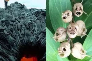 10 Fenomena ini memang alamiah, tapi bikin bulu kuduk merinding