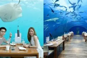 Pertama di dunia, 10 penampakan restoran bawah air ini bikin terpukau