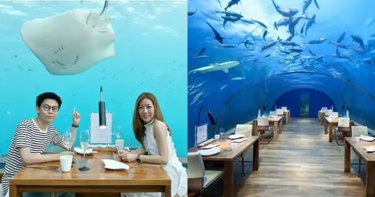 Pertama di dunia, 10 penampakan restoran bawah air ini bikin terpukau