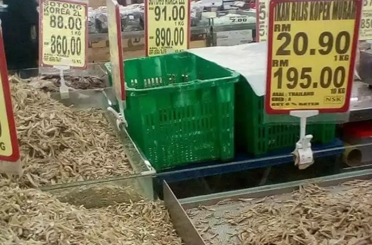 Kucing masuk supermarket, yang dilakukannya bikin pengunjung mual