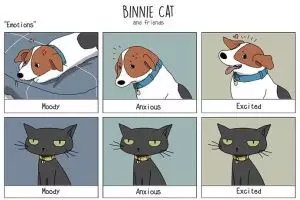 Ilustrasi 10 perbedaan kucing dan anjing ini bikin pengen pelihara