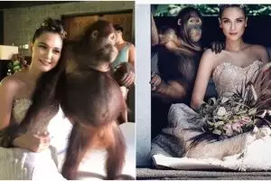 Foto bareng orangutan, Luna Maya dikecam organisasi perlindungan hewan