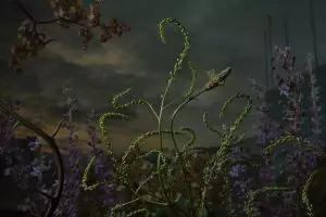 10 Karya fotografi bunga liar, hasilnya dramatis