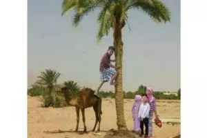 10 Foto editan kocak 'lagi liburan' ini imajinasinya tingkat dewa