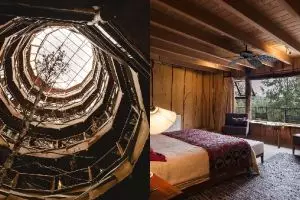 Dibangun di tengah hutan, penampakan hotel bambu ini mewah abis