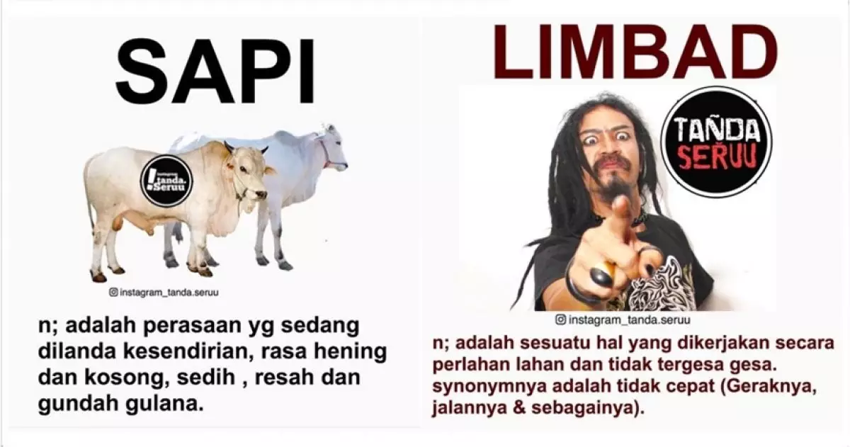 15 Meme pelesetan kata ini ngelanturnya bikin kamu terpaksa ketawa