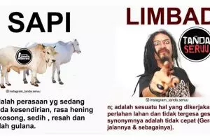 15 Meme pelesetan kata ini ngelanturnya bikin kamu terpaksa ketawa