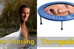 10 Kesalahan ketik kata di Google ini hasilnya bikin ngakak