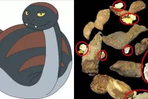 5 Fakta unik ular saat buang air besar yang tak banyak diketahui 