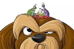 10 Fakta  tak terduga tentang kutu di hewan, bisa melompati gedung