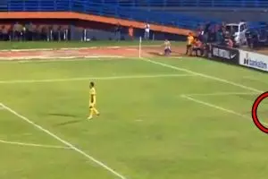 Kucing ini masuk & tiduran di lapangan saat laga Persela vs Borneo FC
