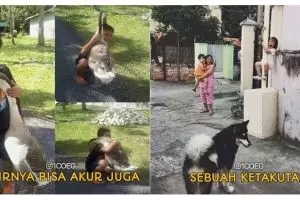 11 Meme interaksi hewan dan manusia ini bikin susah nahan ketawa