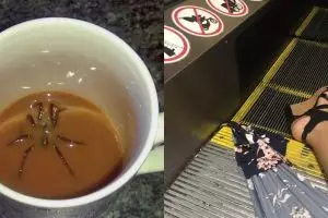 10 Momen keseharian ini bikin kamu bergidik, ada laba-laba di kopi