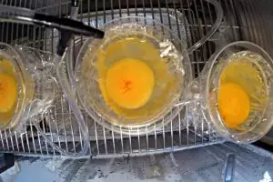 Ajaib! Siswa ini sukses tetaskan telur ayam tanpa cangkang