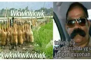 15 Meme 'gak jelas' ini bakal bikin kamu ketawa garing