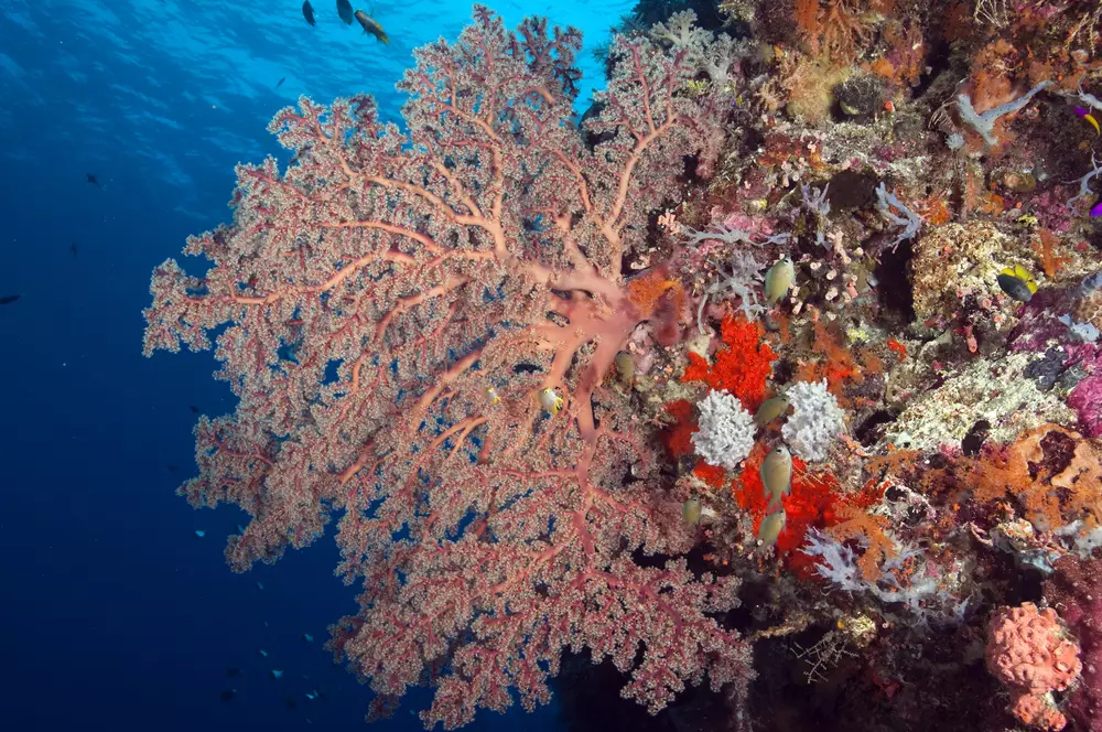 10 Tempat wisata ini wajib kamu kunjungi sebelum usia 30 tahun shutterstock.com