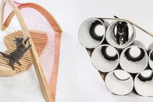 10 Wahana bermain khusus kucing ini keren abis, bak arsitektur mewah