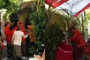 5 Potret Jokowi saat pasang bleketepe untuk pernikahan Kahiyang-Bobby 