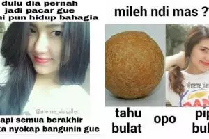 10 Meme Via Vallen ini bikin kamu pengen goyang O A O E seharian