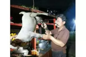 10 Foto editan 'orang bareng hewan' ini bikin ngakak level tertinggi