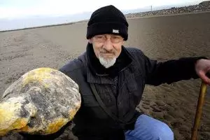 Selain muntahan paus, 5 benda dari 'kotoran' ini harganya mahal 