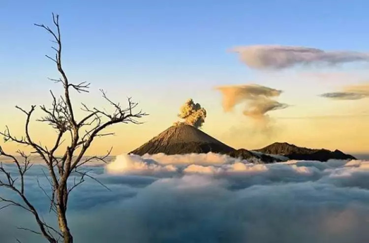 10 Potret indahnya panorama di atas awan, bak di negeri dongeng
