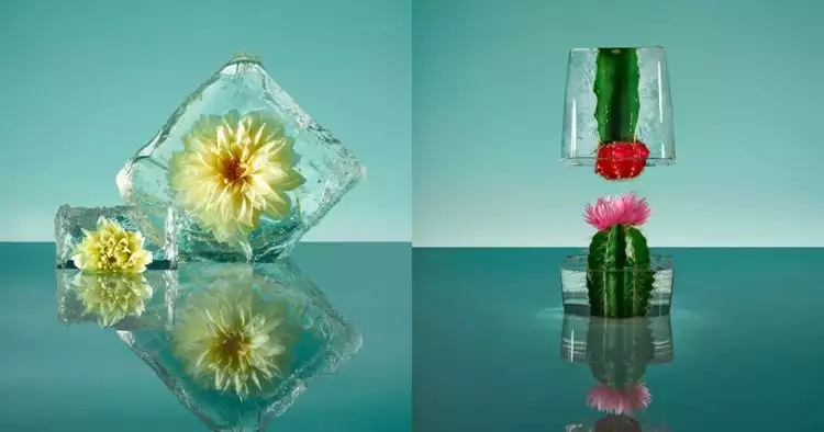  9 Karya bunga beku super unik, bisa jadi inspirasi kado untuk kekasih