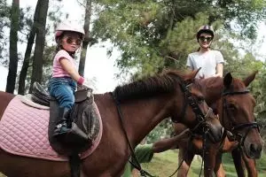 Tak hanya Nabila Syakieb, 2 seleb ini juga pelihara kuda lho