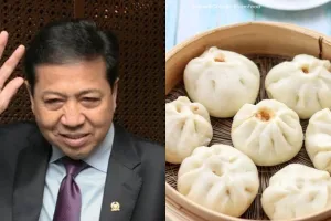 Asal-usul kuliner bakpao yang dijadikan istilah benjolan kepala Setnov