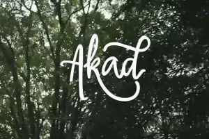 5 Lagu tentang pernikahan yang bikin penyanyinya populer