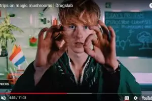 YouTubers ini bikin video pakai narkoba, ngerinya efek zat terlarang