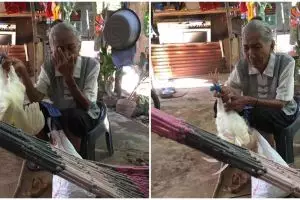 Demi hidupi cucunya, nenek ini rela menjual ayam peliharaannya