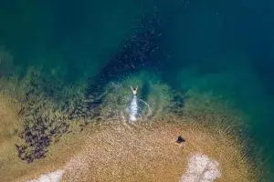 Begini epiknya 12 kawanan hewan dan habitatnya dipotret dari atas