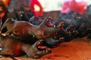 5 Binatang tak lazim ini jadi makanan khas di Indonesia