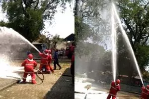 Bukan kobaran api, pemadam kebakaran semprotkan air ke sarang tawon