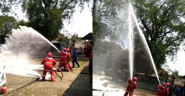 Bukan kobaran api, pemadam kebakaran semprotkan air ke sarang tawon