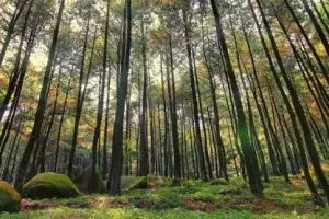 10 Destinasi wisata di Indonesia yang paling banyak dikunjungi di 2017