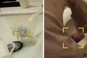 Pegawai hotel ini bersihkan toilet & alat makan pakai sikat yang sama