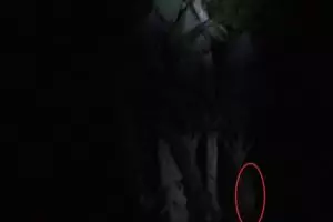 Kisah komunitas foto yang tangkap penampakan di hutan Puncak Tretes