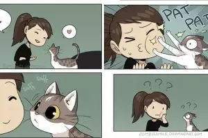 6 Ilustrasi kondisi yang sering dialami cewek ketika pelihara kucing