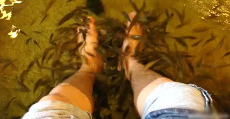 Tak cuci kaki 10 tahun, pria ini bikin ikan di kolam terapi mati semua