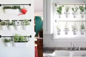 10 Ide unik taman vertikal di dalam rumah yang bisa kamu tiru