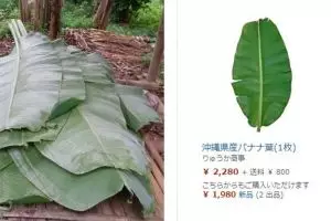 Harga satu lembar daun pisang di Jepang bikin warganet ngelus dada