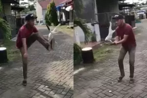 Aksi orang siksa kucing ini bikin emosi, ditendang dan dilempar 