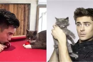 10 Seleb tampan ini hobi pelihara kucing, ada yang seharga motor sport