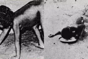 10 Kisah bocah yang hidup dan tumbuh besar dari kasih sayang binatang