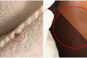 10 Momen jorok saat traveling ini bikin ilfil, mengganggu liburan deh 