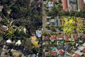 10 Foto GPS ini rekam pergerakan kucing saat malam hari, keluyuran nih